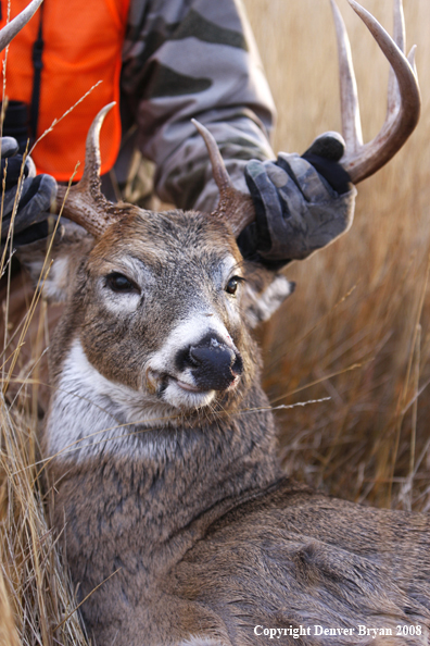 Hunter with Whitetail Deer
