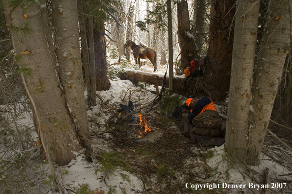 Elk hunter sleeping around campfire in woods.