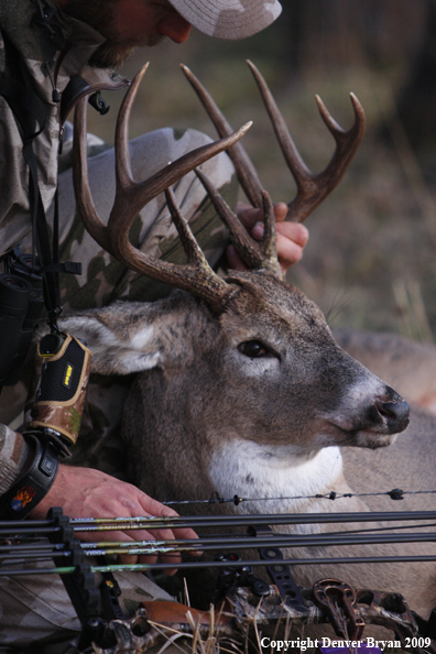 Bowhunter with bagged whitetail buck.