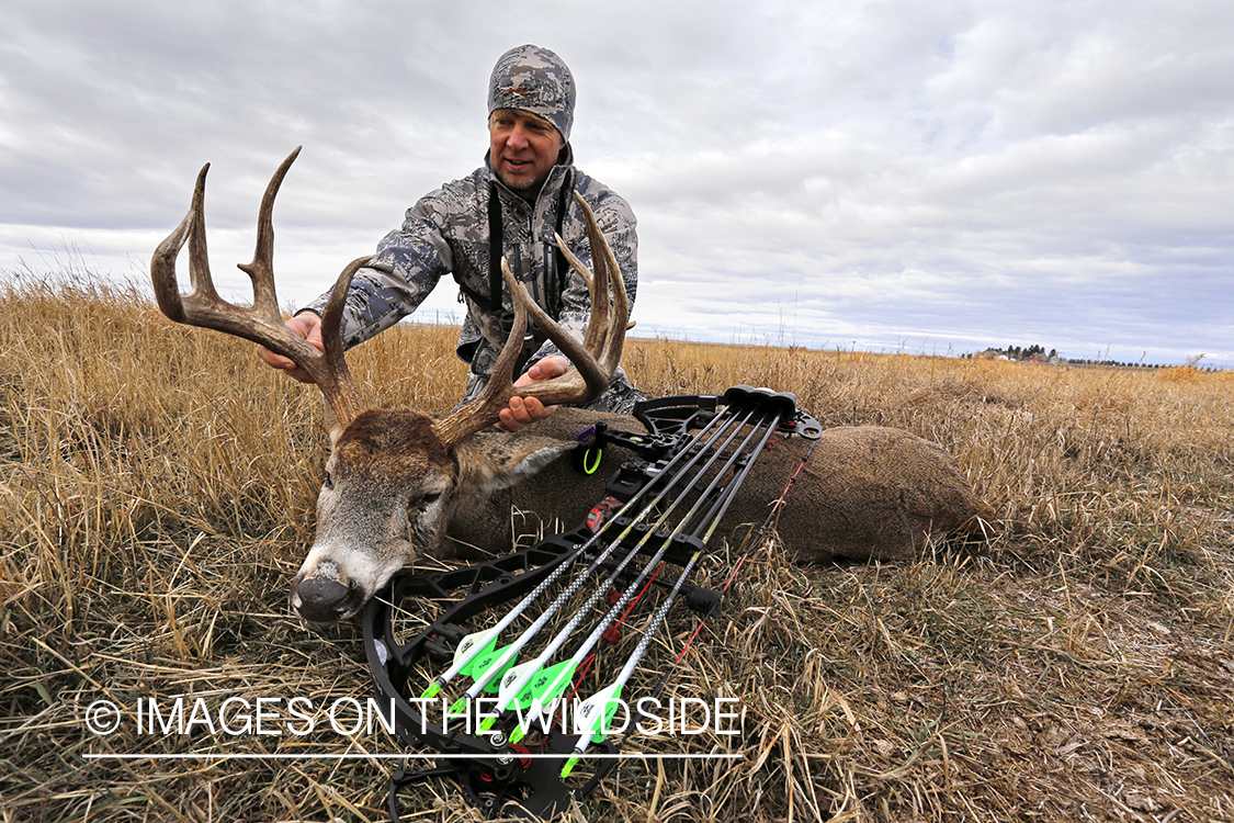 Bowhunter with downed white-tailed buck.