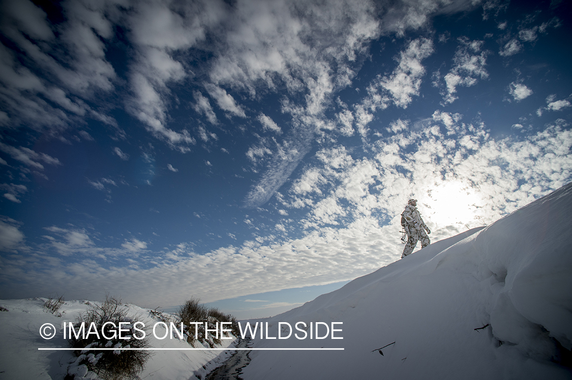 Bowhunter in winter landscape.