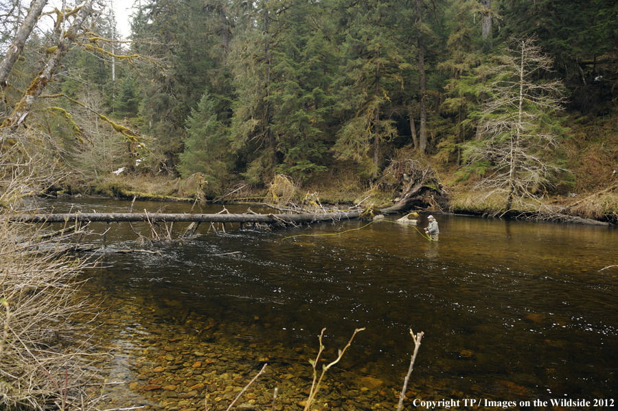 Flyfisherman in Alaska. 
