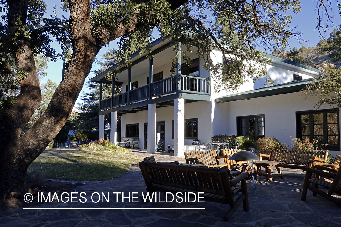 Lodge in Chiricahua, Arizona.
