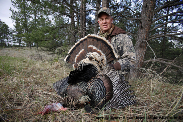 Hunter with bagged (Merriam's) turkey