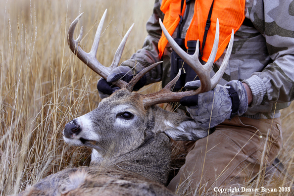 Hunter with Whitetail Deer