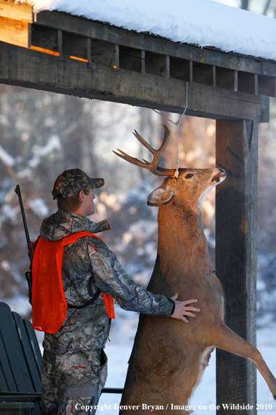 Hunter with bagged buck. 
