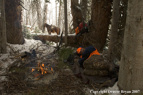 Elk hunter sleeping around campfire in woods.