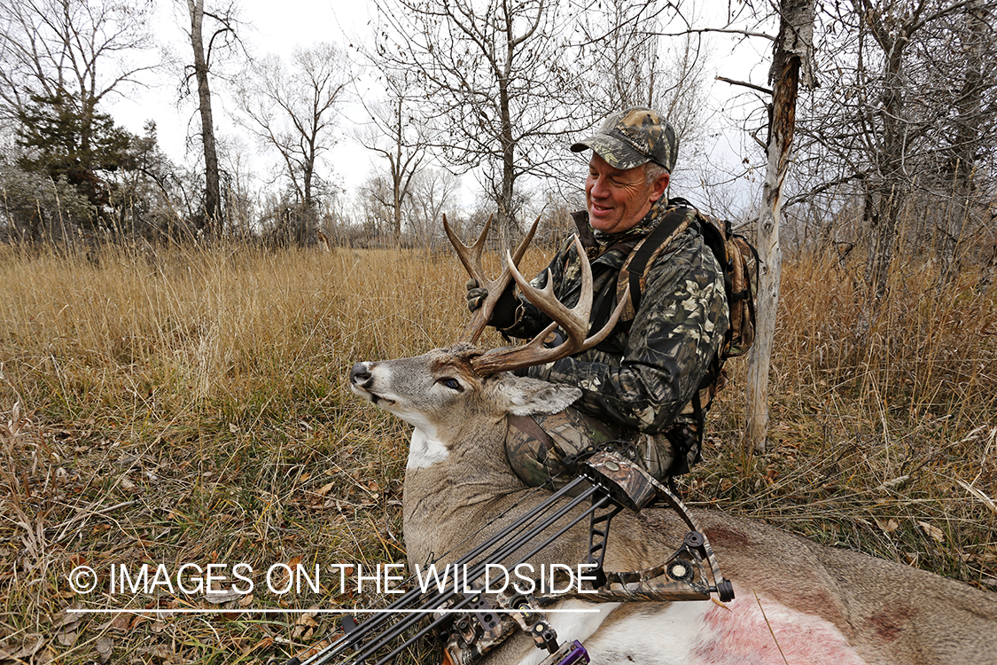 Bowhunter with bagged white-tailed buck.