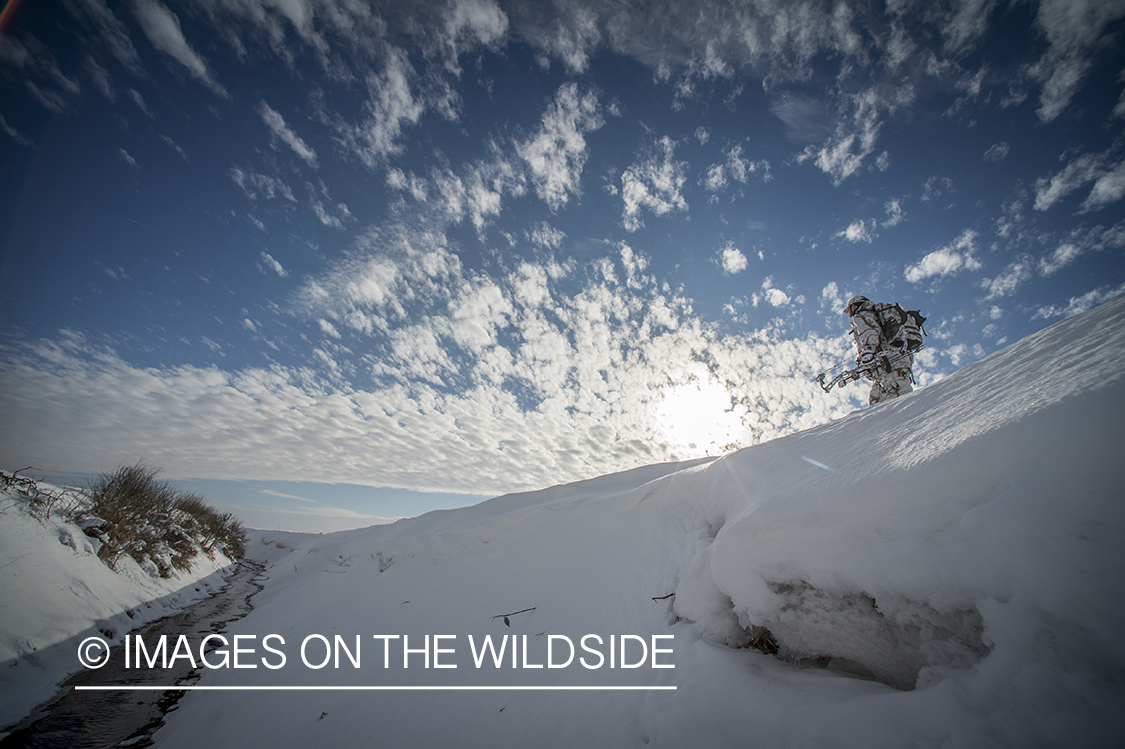 Bowhunter in winter landscape.