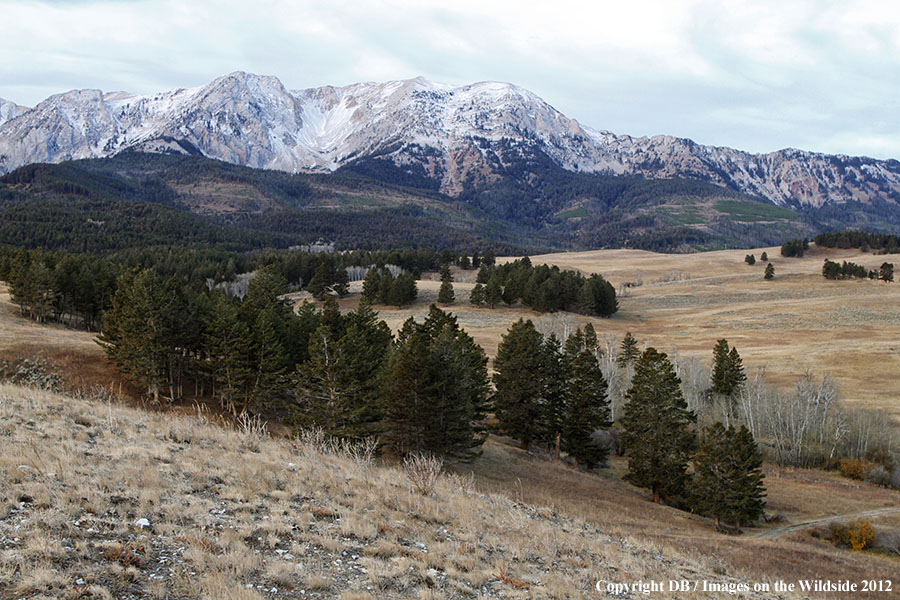 Bridger Mountains in autumn.