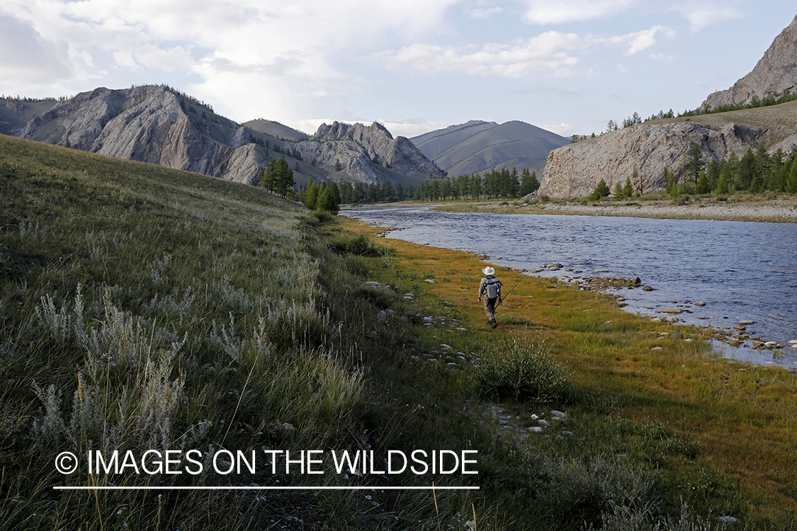 Flyfisherman walking along Delger River, Mongolia.