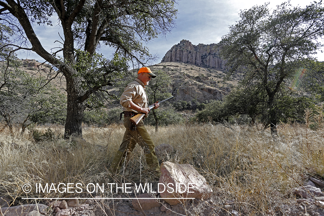 Desert quail hunter in field.