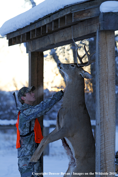Hunter with bagged buck. 