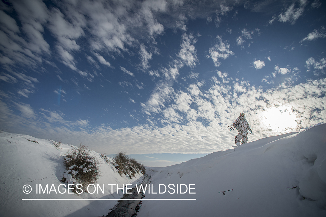 Bowhunter in winter landscape.