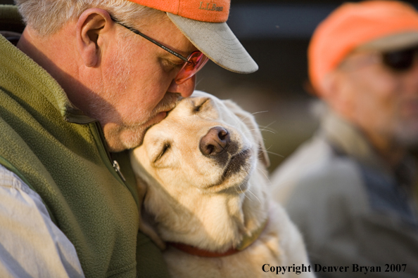 Upland game bird hunter with yellow labrador retriever