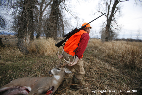 Hunter in field with bagged deer