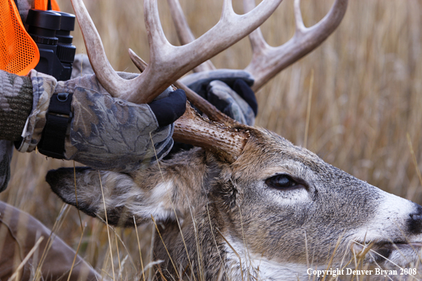 Hunter with Whitetail Deer