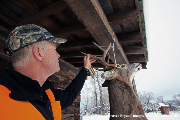 White-tailed deer hunter stands with buck hanging from cabin.