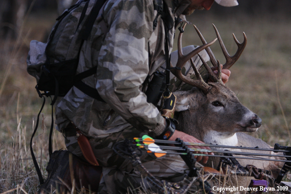 Bowhunter with bagged whitetail buck.