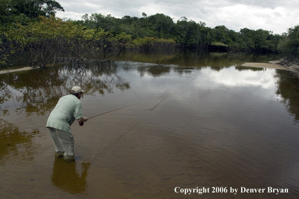 Peacock Bass fishing.