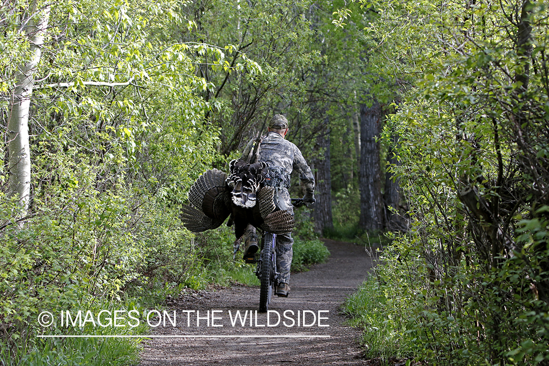 Turkey hunter with bagged turkey on mountain bike.