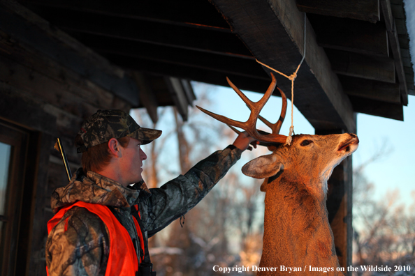 Hunter with bagged buck. 