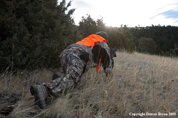 Elk Hunter in Field