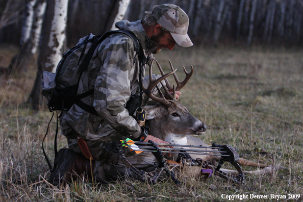 Bowhunter with bagged whitetail buck.