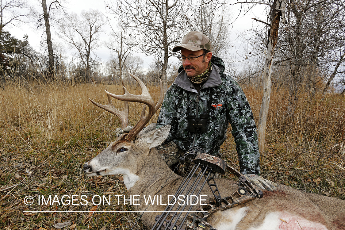 Bowhunter with bagged white-tailed buck.