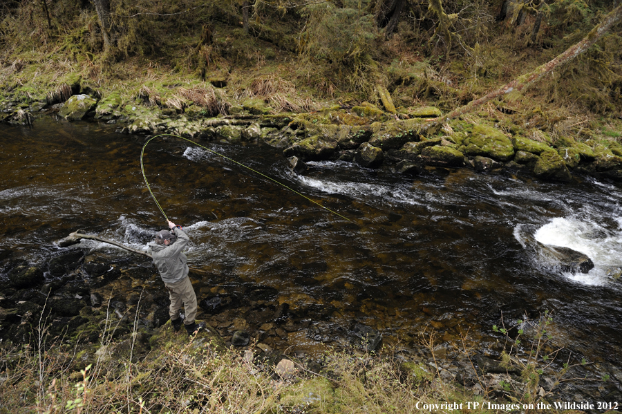Flyfisherman with fish on. 