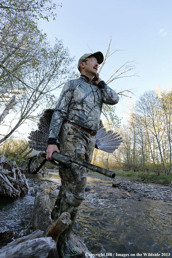 Turkey hunter in field with bagged turkey.
