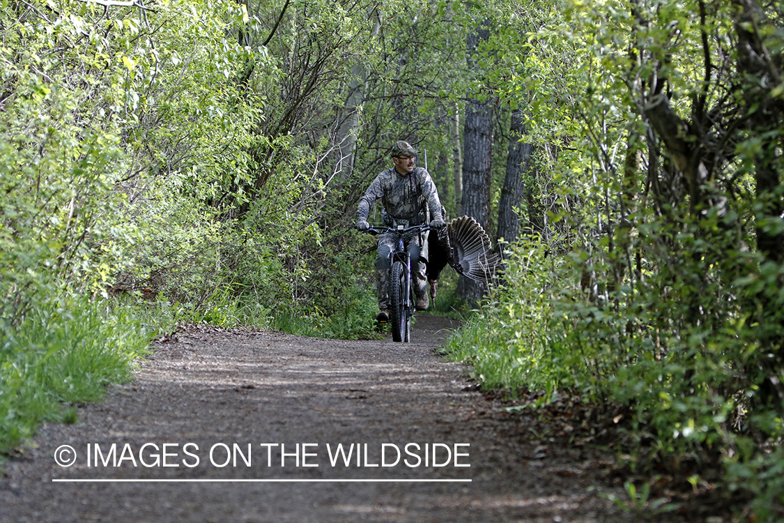 Turkey hunter with bagged turkey on mountain bike.
