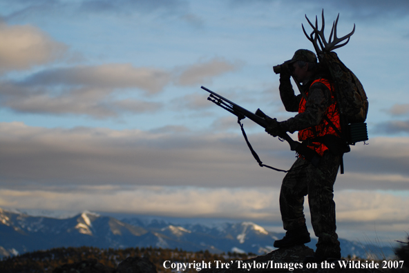 Mule Deer hunter glassing