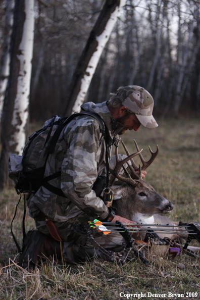 Bowhunter with bagged whitetail buck.