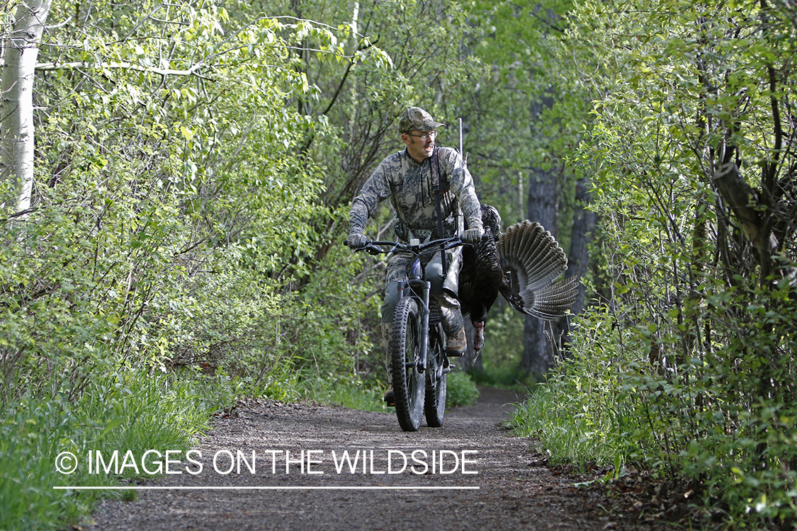 Turkey hunter with bagged turkey on mountain bike.