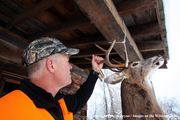 White-tailed deer hunter stands with buck hanging from cabin.