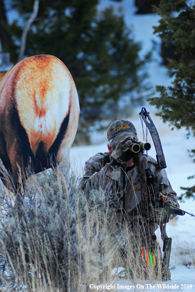 Bowhunter in Field