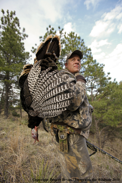 Hunter with bagged (Merriam's) turkey thrown over shoulder