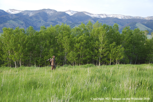 Turkey Hunter in Field