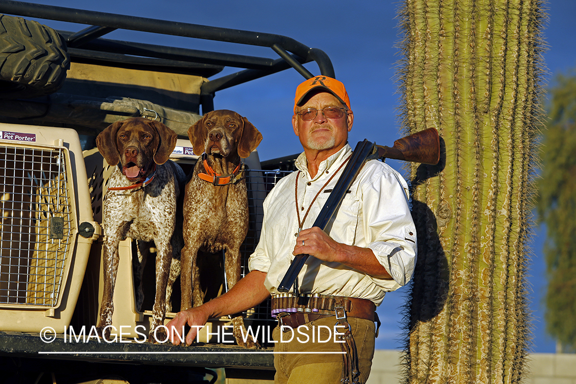 Gambel's Quail hunter with German Shorthaired Pointers on hunting trip in Arizona.