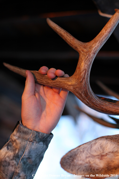 Hunter with bagged buck. 