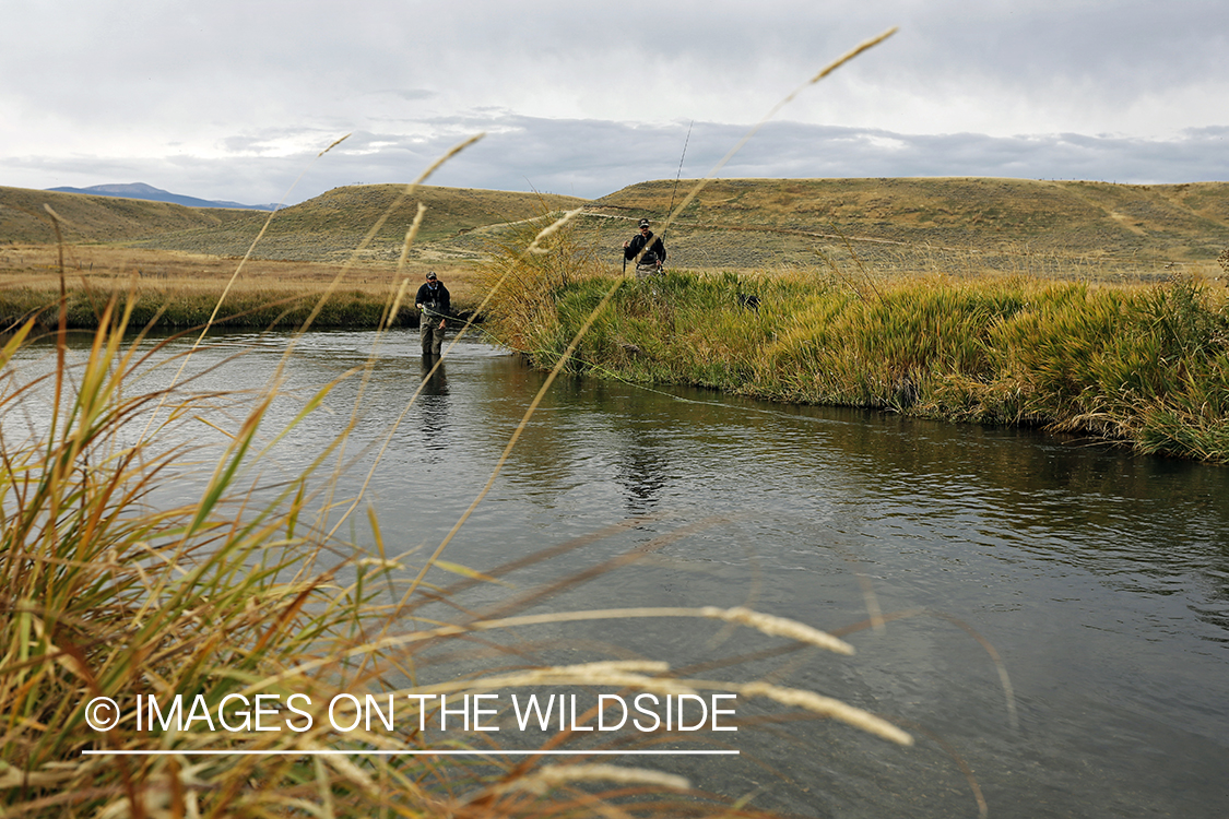 Flyfishermen casting on river. 