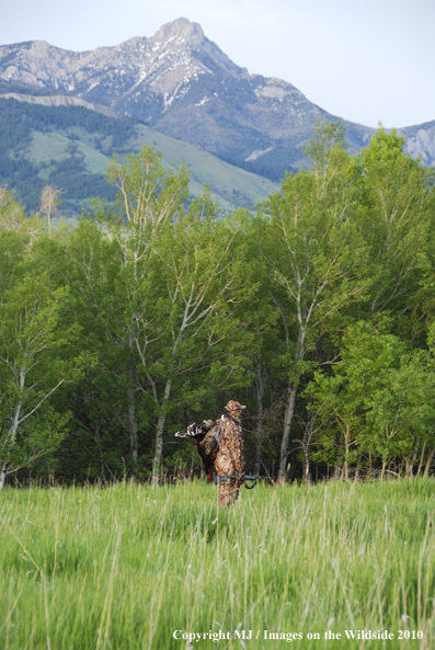 Turkey Hunter in Field