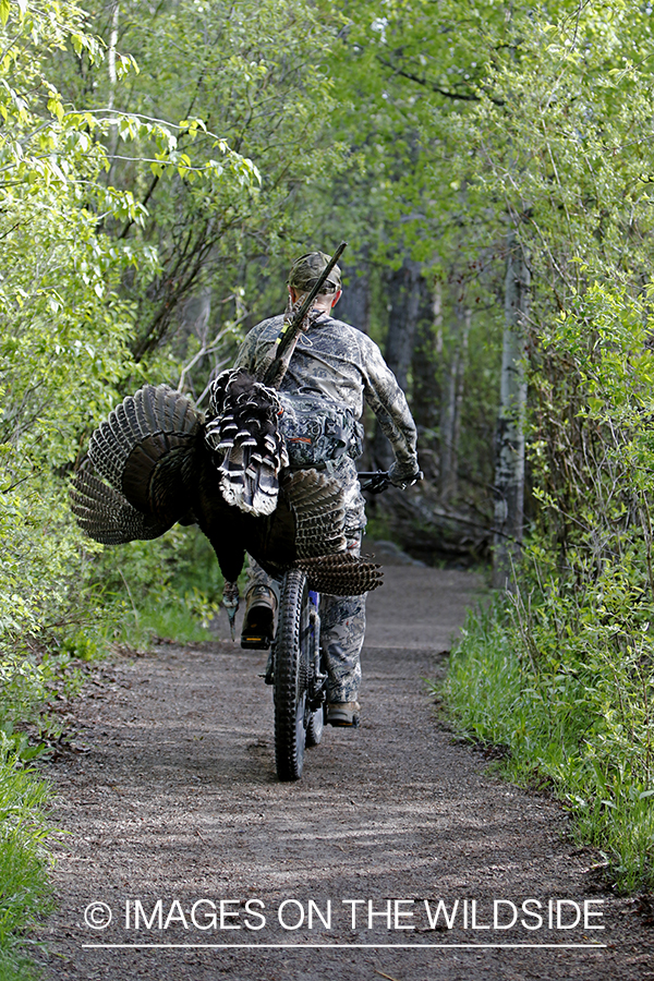 Turkey hunter with bagged turkey on mountain bike.