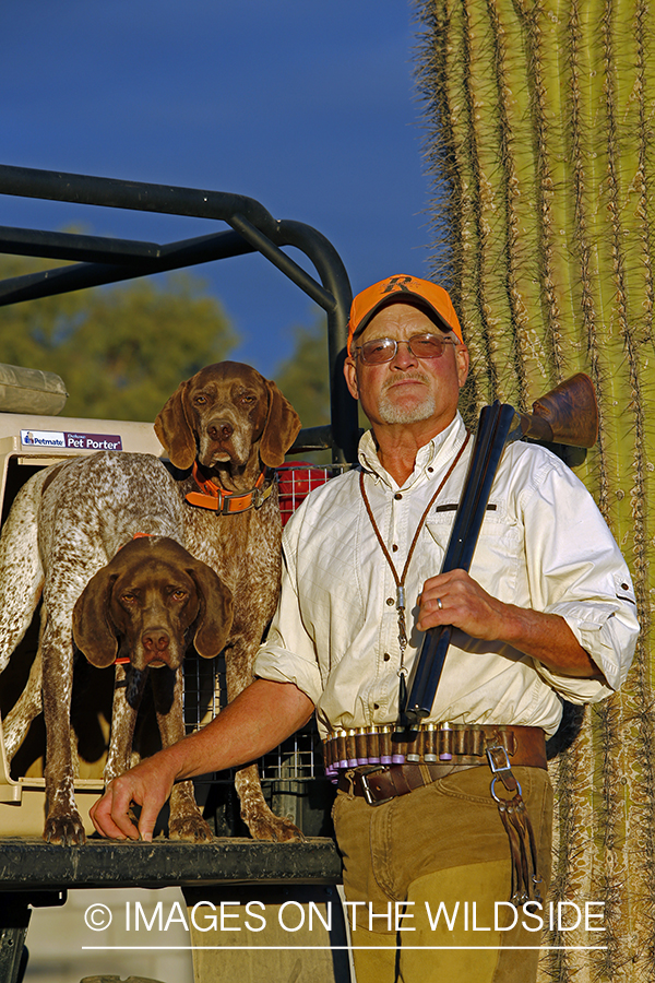 Gambel's Quail hunter with German Shorthaired Pointers on hunting trip in Arizona.