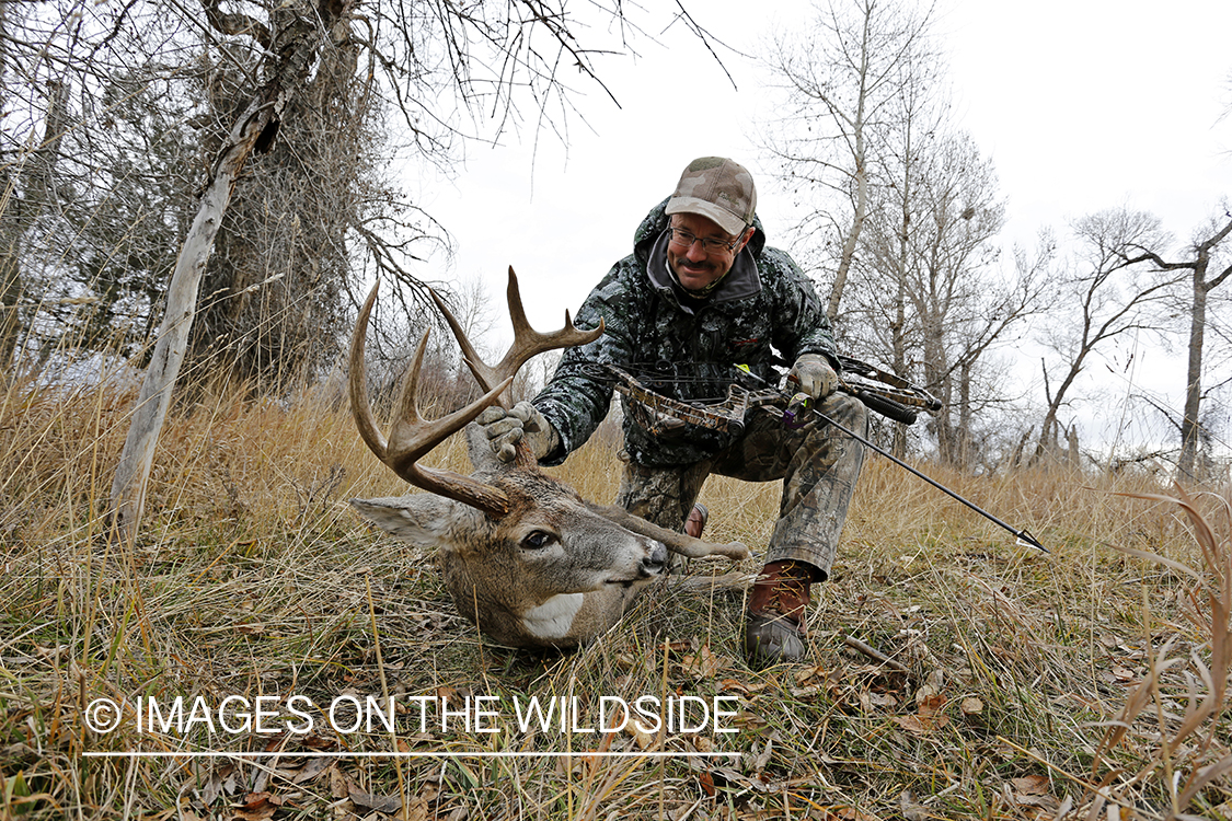 Bowhunter with bagged white-tailed buck.