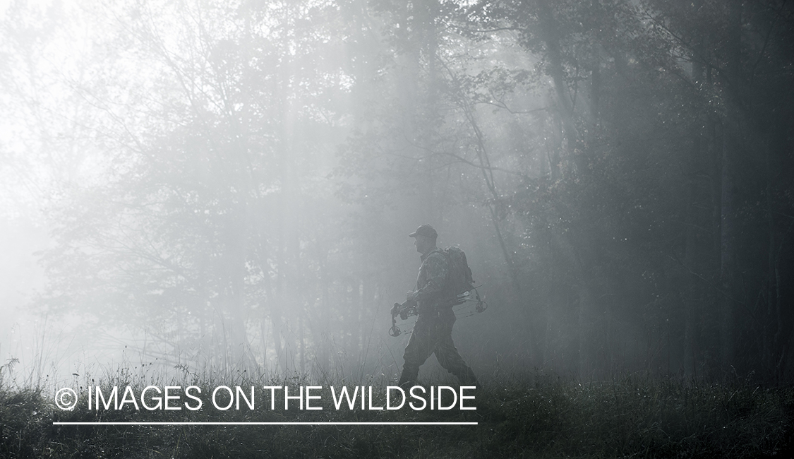 Bowhunter in fall forest.