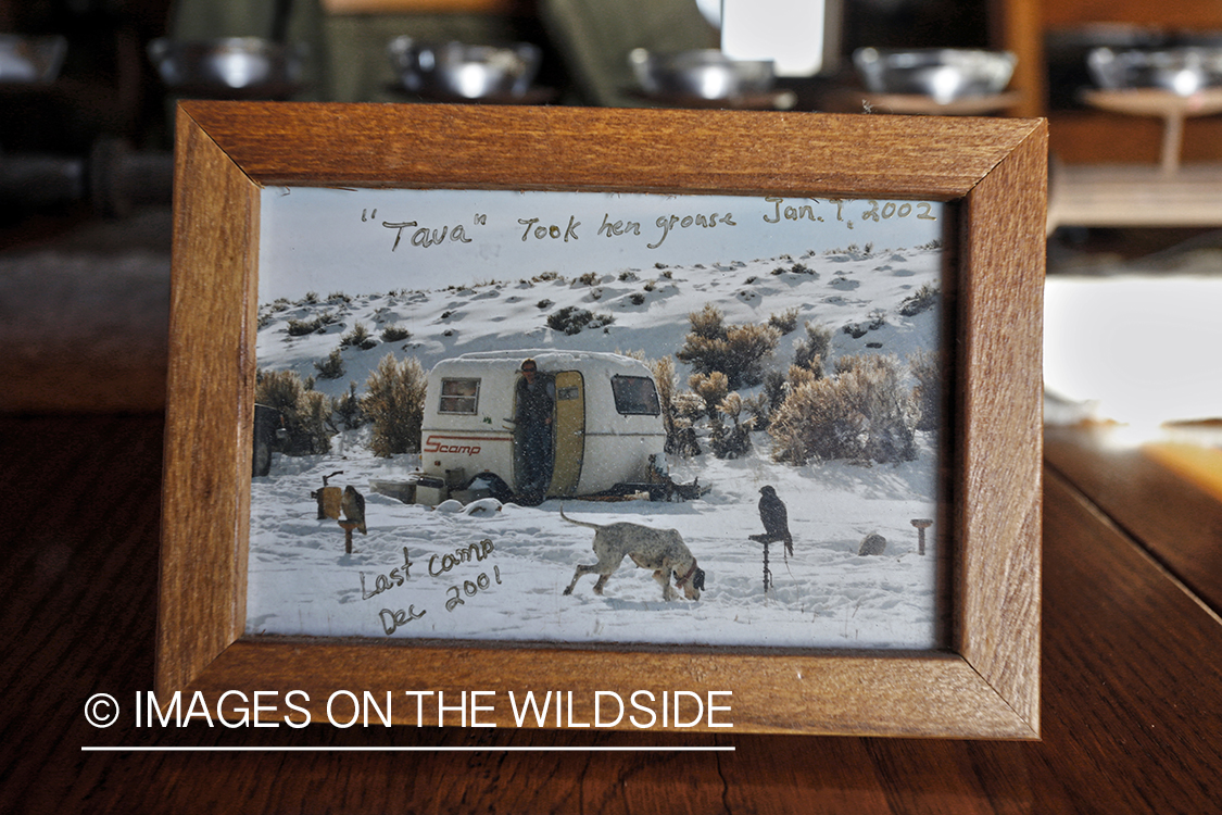 Decor in falconer's cabin.