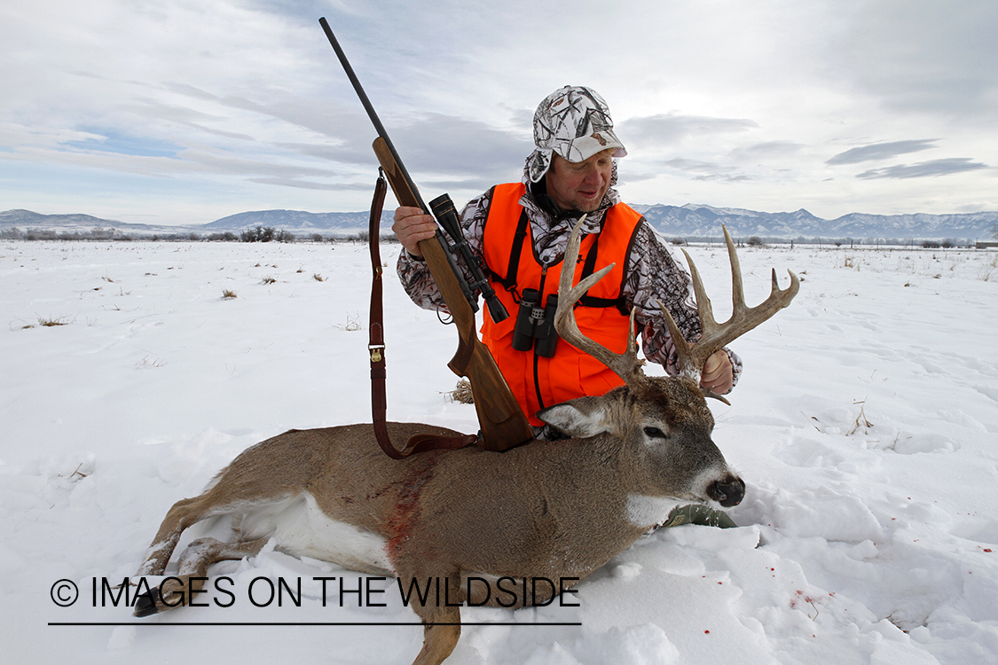 Hunter with bagged white-tailed deer.