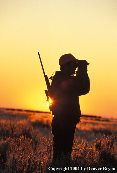 Big game hunter glassing.